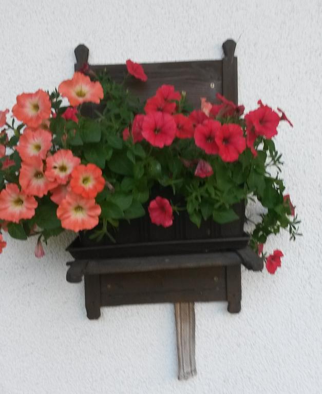 Waldschoenau Kirchbichl Exterior foto